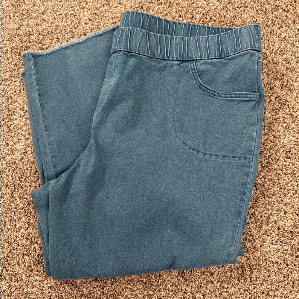 DreamJeannes by Quaker Factory Ankle Jeans Raw Hem Size‎ 3X